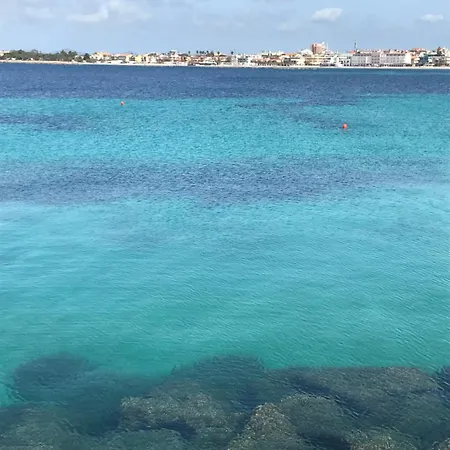 Apartman Terrazza Del Convento - Cozy With Seeview Private Terrace Alghero